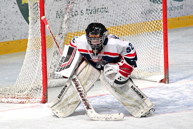 证明了他们 证明了他们